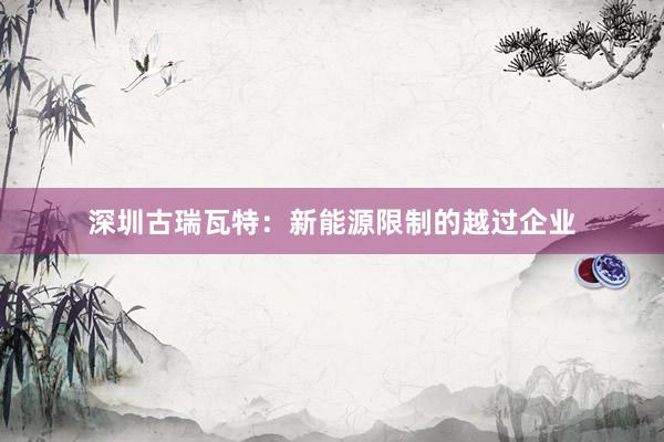 深圳古瑞瓦特：新能源限制的越过企业