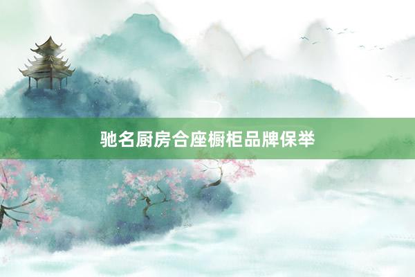 驰名厨房合座橱柜品牌保举