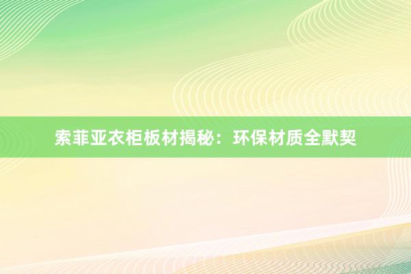 索菲亚衣柜板材揭秘：环保材质全默契