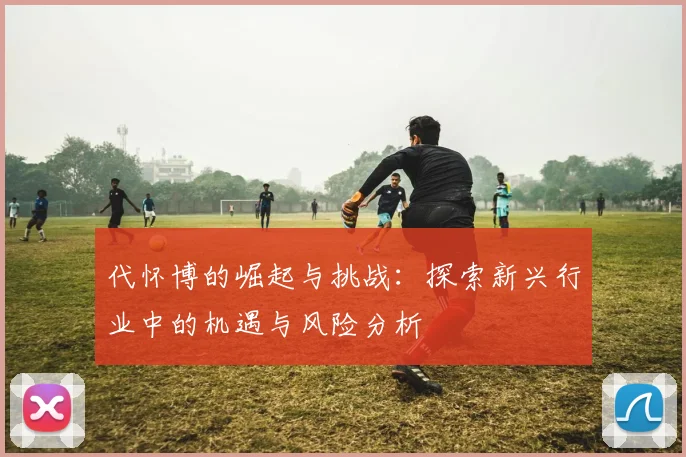 代怀博的崛起与挑战：探索新兴行业中的机遇与风险分析